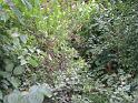 08_u_Witlikow_w_Gieraltowie (10)